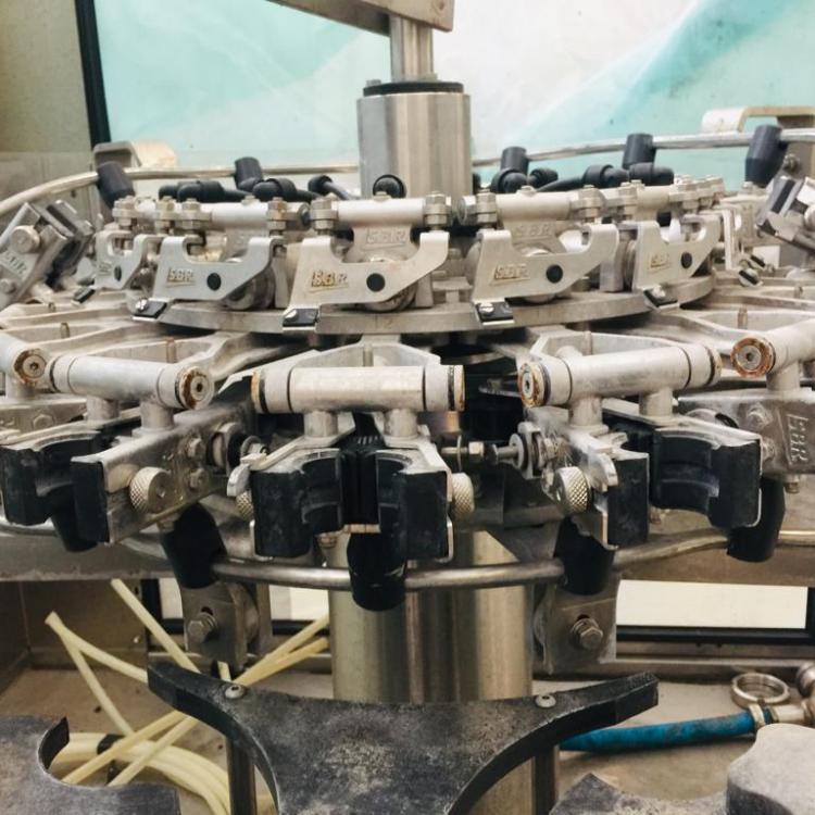 Rinser Machine Bertolaso second hand